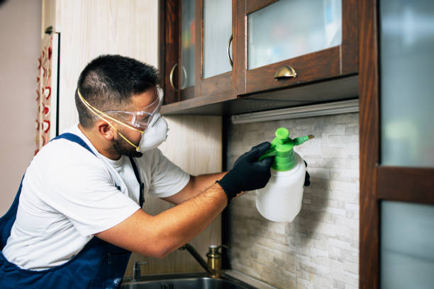 Best Residential Pest Control  in Chinle, AZ