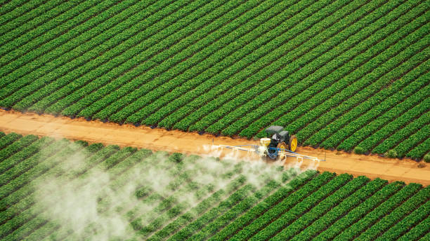 Best Commercial Pest Control Services  in Chinle, AZ