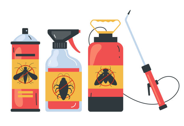 Best Termite Control Services  in Chinle, AZ