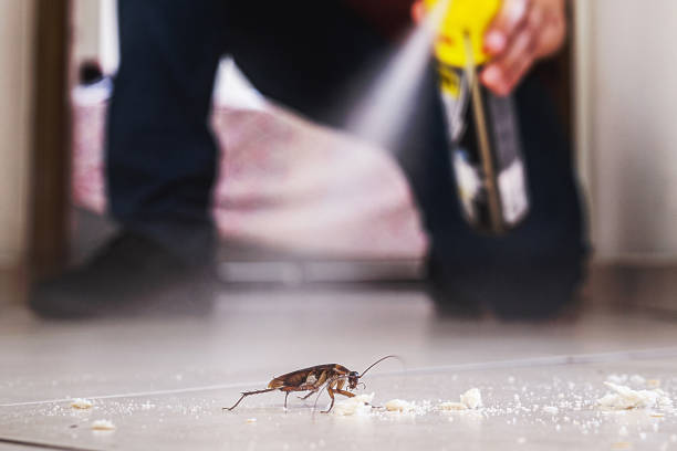 Chinle, AZ Pest Control Company